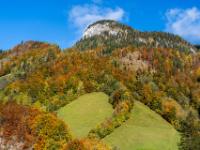 Herbstwald und Felskuppe oberhalb Weißbach bei Lofer